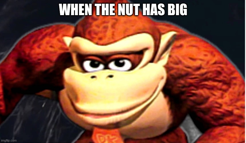 Donkey Kong’s Seducing Face | WHEN THE NUT HAS BIG | image tagged in donkey kong s seducing face | made w/ Imgflip meme maker