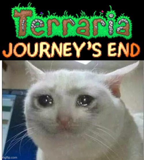 y'all arent true gamer if ya didn't play this | image tagged in crying cat | made w/ Imgflip meme maker