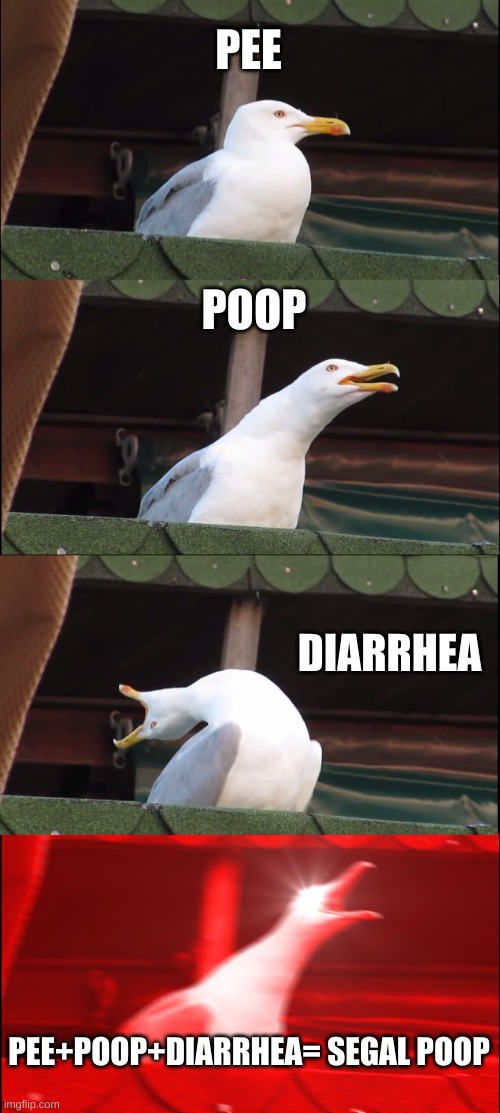 Inhaling Seagull | PEE; POOP; DIARRHEA; PEE+POOP+DIARRHEA= SEGAL POOP | image tagged in memes,inhaling seagull | made w/ Imgflip meme maker