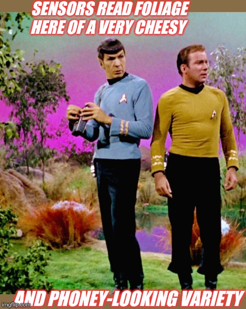 Hey, they worked on a shoestring budget back then... | SENSORS READ FOLIAGE HERE OF A VERY CHEESY; AND PHONEY-LOOKING VARIETY | image tagged in star trek,original,tv series | made w/ Imgflip meme maker