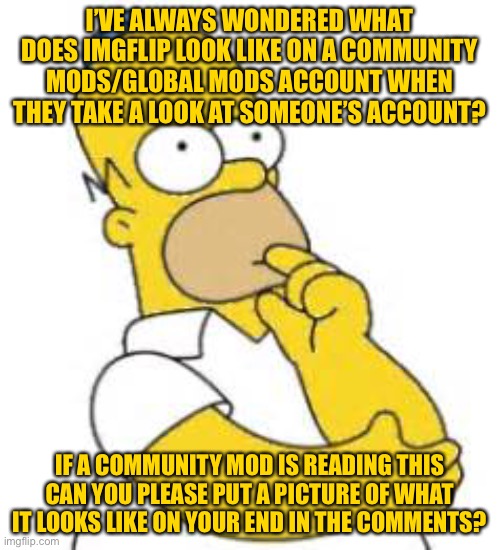 Like when you go to my account, is there a button that says ban? | I’VE ALWAYS WONDERED WHAT DOES IMGFLIP LOOK LIKE ON A COMMUNITY MODS/GLOBAL MODS ACCOUNT WHEN THEY TAKE A LOOK AT SOMEONE’S ACCOUNT? IF A COMMUNITY MOD IS READING THIS CAN YOU PLEASE PUT A PICTURE OF WHAT IT LOOKS LIKE ON YOUR END IN THE COMMENTS? | image tagged in homer simpson hmmmm,hmmm,imgflip,i wonder | made w/ Imgflip meme maker