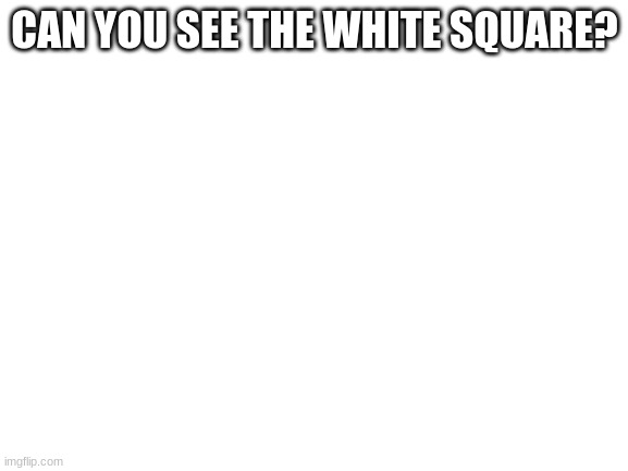 Blank White Template | CAN YOU SEE THE WHITE SQUARE? | image tagged in blank white template | made w/ Imgflip meme maker