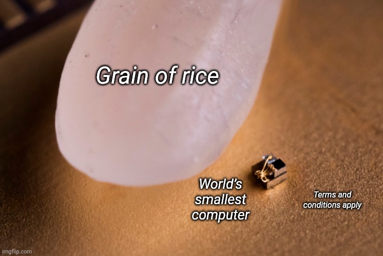 Grain Of Rice | Grain of rice; World’s smallest computer; Terms and conditions apply | image tagged in grain of rice | made w/ Imgflip meme maker
