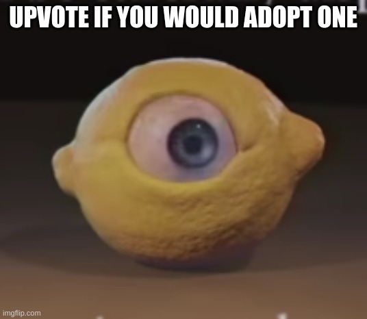 SO CUTE | UPVOTE IF YOU WOULD ADOPT ONE | image tagged in shocked omega mart lemon | made w/ Imgflip meme maker