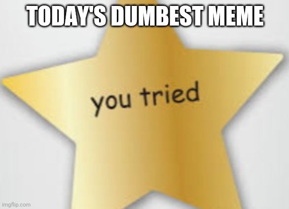 You tried | TODAY'S DUMBEST MEME | image tagged in you tried | made w/ Imgflip meme maker