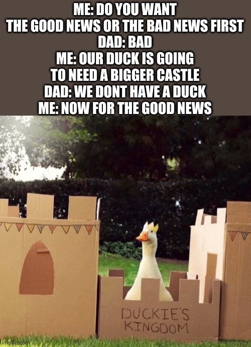 thats a cute duck | ME: DO YOU WANT THE GOOD NEWS OR THE BAD NEWS FIRST
DAD: BAD
ME: OUR DUCK IS GOING TO NEED A BIGGER CASTLE
DAD: WE DONT HAVE A DUCK
ME: NOW FOR THE GOOD NEWS | image tagged in ducks | made w/ Imgflip meme maker
