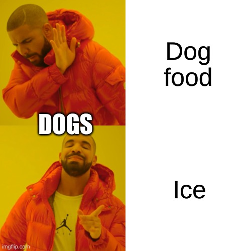 Am i wrong | Dog food; DOGS; Ice | image tagged in memes,drake hotline bling,dogs | made w/ Imgflip meme maker