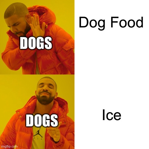 Dog Food VS Ice | Dog Food; DOGS; Ice; DOGS | image tagged in memes,drake hotline bling | made w/ Imgflip meme maker