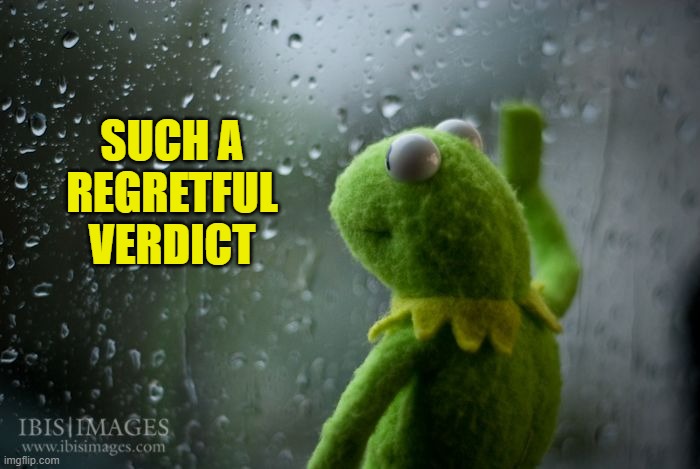 kermit window | SUCH A REGRETFUL VERDICT | image tagged in kermit window | made w/ Imgflip meme maker