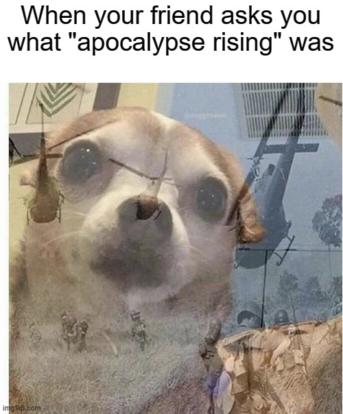 hackers, hackers everywhere | When your friend asks you what "apocalypse rising" was | image tagged in ptsd chihuahua | made w/ Imgflip meme maker