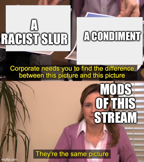 there the same picture | A RACIST SLUR; A CONDIMENT; MODS OF THIS STREAM | image tagged in there the same picture | made w/ Imgflip meme maker