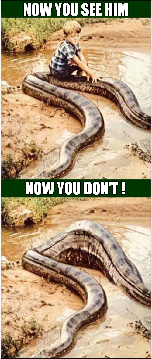 That'll Teach Him ! | NOW YOU SEE HIM; NOW YOU DON'T ! | image tagged in snake,child,eaten,dark humour | made w/ Imgflip meme maker