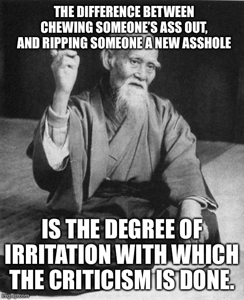 A critic is a wise ass | THE DIFFERENCE BETWEEN CHEWING SOMEONE’S ASS OUT, AND RIPPING SOMEONE A NEW ASSHOLE; IS THE DEGREE OF IRRITATION WITH WHICH THE CRITICISM IS DONE. | image tagged in wise master,memes,criticism,thought,review,confucius | made w/ Imgflip meme maker