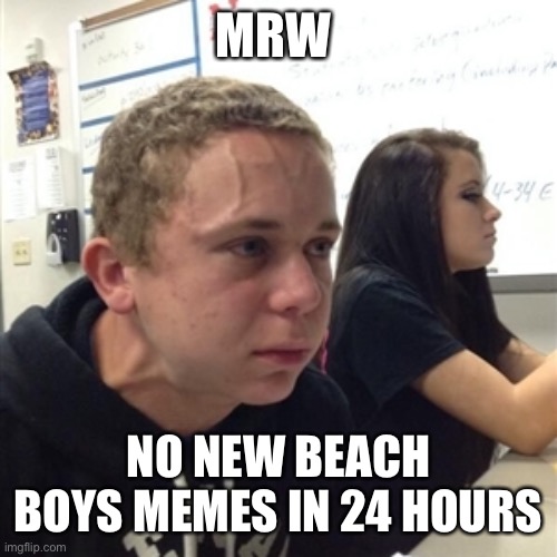 Vein forehead guy | MRW; NO NEW BEACH BOYS MEMES IN 24 HOURS | image tagged in vein forehead guy,beachboyscirclejerk | made w/ Imgflip meme maker