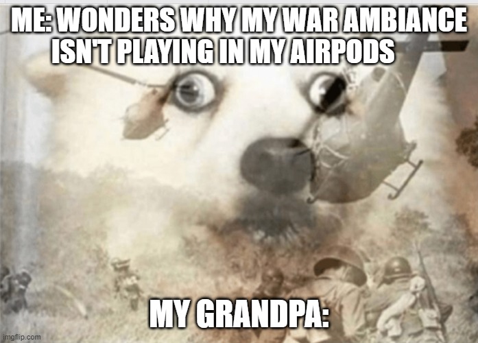 PTSD dog | ME: WONDERS WHY MY WAR AMBIANCE ISN'T PLAYING IN MY AIRPODS; MY GRANDPA: | image tagged in ptsd dog | made w/ Imgflip meme maker