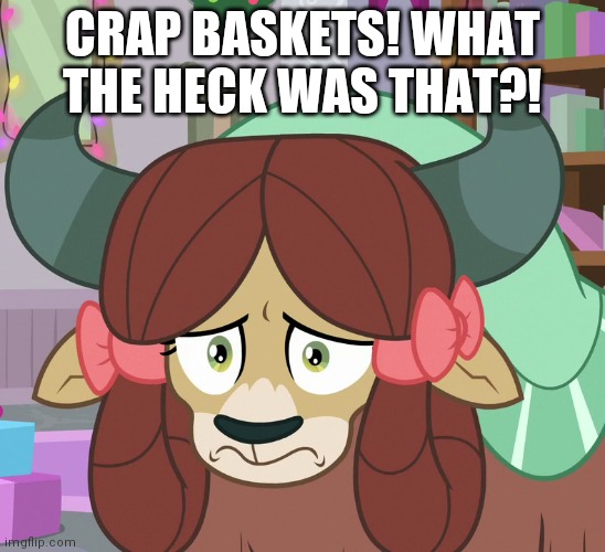 Feared Yona (MLP) | CRAP BASKETS! WHAT THE HECK WAS THAT?! | image tagged in feared yona mlp | made w/ Imgflip meme maker