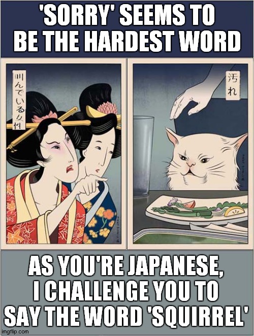 Japanese Woman Yelling At Cat | 'SORRY' SEEMS TO BE THE HARDEST WORD; AS YOU'RE JAPANESE, I CHALLENGE YOU TO SAY THE WORD 'SQUIRREL' | image tagged in japanese,woman yelling at cat,smudge the cat,pronunciation | made w/ Imgflip meme maker