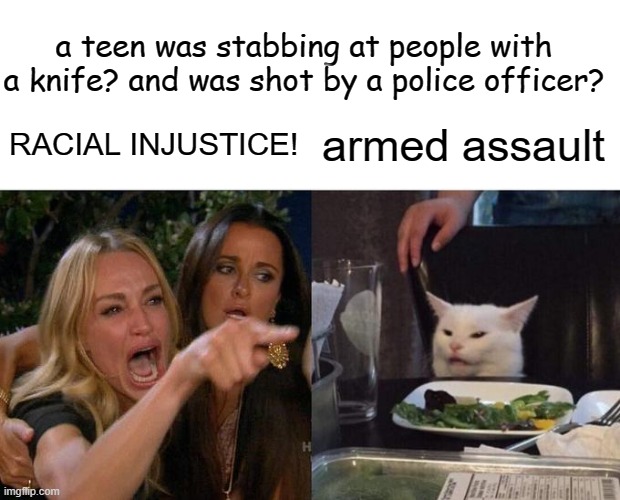 i dont think people understand that the law is to be upheld by its officers. not to be broken by the citizens who follow it. | a teen was stabbing at people with a knife? and was shot by a police officer? RACIAL INJUSTICE! armed assault | image tagged in woman yelling at cat | made w/ Imgflip meme maker