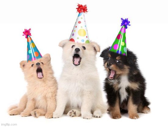 happy birthday puppies | image tagged in happy birthday puppies | made w/ Imgflip meme maker