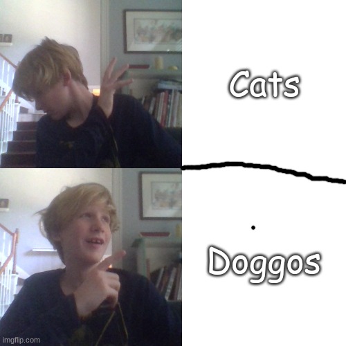 Pazard Hotline Bling | Cats; Doggos | image tagged in pazard hotline bling | made w/ Imgflip meme maker