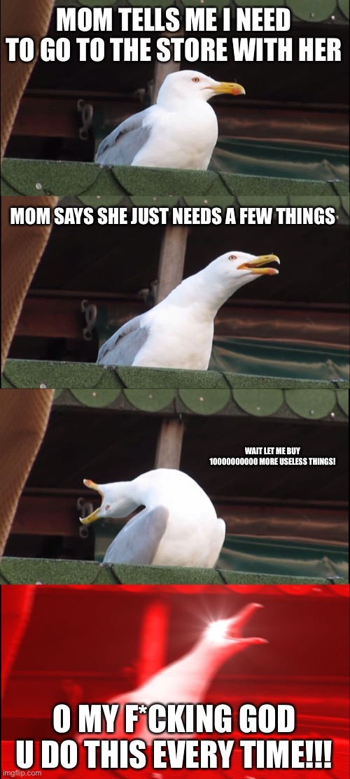 This happens to everybody right? | MOM TELLS ME I NEED TO GO TO THE STORE WITH HER; MOM SAYS SHE JUST NEEDS A FEW THINGS; WAIT LET ME BUY 10000000000 MORE USELESS THINGS! O MY F*CKING GOD U DO THIS EVERY TIME!!! | image tagged in memes,inhaling seagull | made w/ Imgflip meme maker