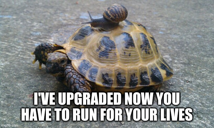 Snail riding turtle | I'VE UPGRADED NOW YOU HAVE TO RUN FOR YOUR LIVES | image tagged in snail riding turtle | made w/ Imgflip meme maker