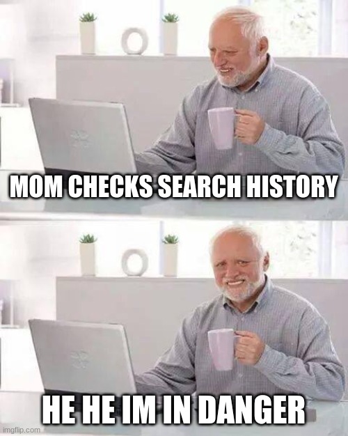 he he im in danger | MOM CHECKS SEARCH HISTORY; HE HE IM IN DANGER | image tagged in memes,hide the pain harold | made w/ Imgflip meme maker