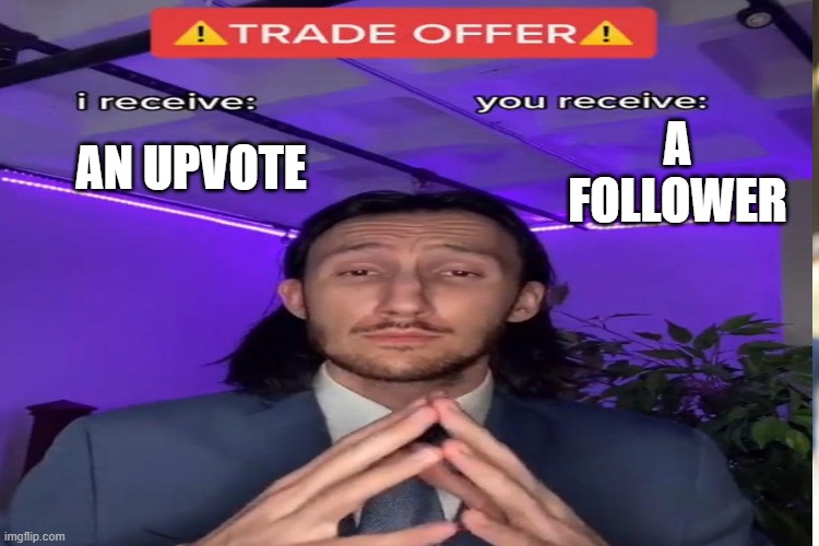 Tell / put a pic of ur of upvote in chat and ill follow you | A FOLLOWER; AN UPVOTE | image tagged in trade offer | made w/ Imgflip meme maker