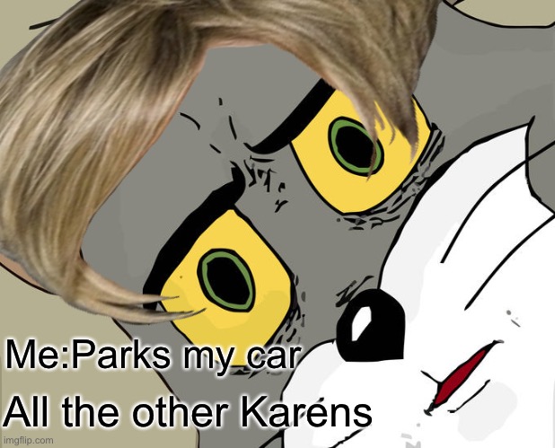 Me:Parks my car; All the other Karens | image tagged in unsettled tom | made w/ Imgflip meme maker