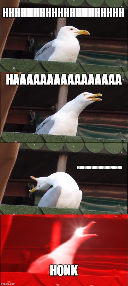 Inhaling Seagull | HHHHHHHHHHHHHHHHHHHH; HAAAAAAAAAAAAAAAA; HOOOOOOOOOOOOONNNNN; HONK | image tagged in memes,inhaling seagull | made w/ Imgflip meme maker