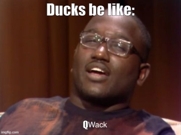 qucak |  Ducks be like:; Q | image tagged in wack | made w/ Imgflip meme maker