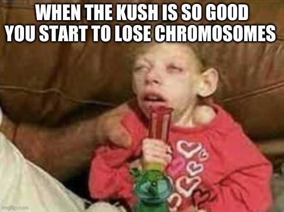 WHEN THE KUSH IS SO GOOD YOU START TO LOSE CHROMOSOMES | image tagged in funny memes,memes | made w/ Imgflip meme maker