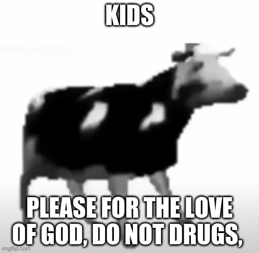 polish cow shares some wisdom | KIDS; PLEASE FOR THE LOVE OF GOD, DO NOT DRUGS, | image tagged in polish cow | made w/ Imgflip meme maker