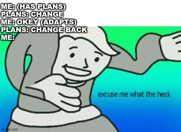 No | ME: (HAS PLANS)
PLANS: CHANGE
ME: OKEY (ADAPTS)
PLANS: CHANGE BACK
ME: | image tagged in excuse me what the heck | made w/ Imgflip meme maker