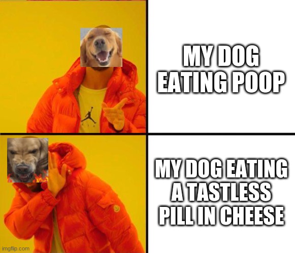 drake yes no reverse | MY DOG EATING POOP; MY DOG EATING A TASTLESS PILL IN CHEESE | image tagged in drake yes no reverse | made w/ Imgflip meme maker