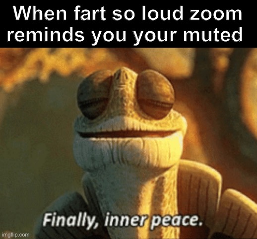 Pls see me | When fart so loud zoom reminds you your muted | image tagged in finally inner peace,fart,farts,zoom | made w/ Imgflip meme maker
