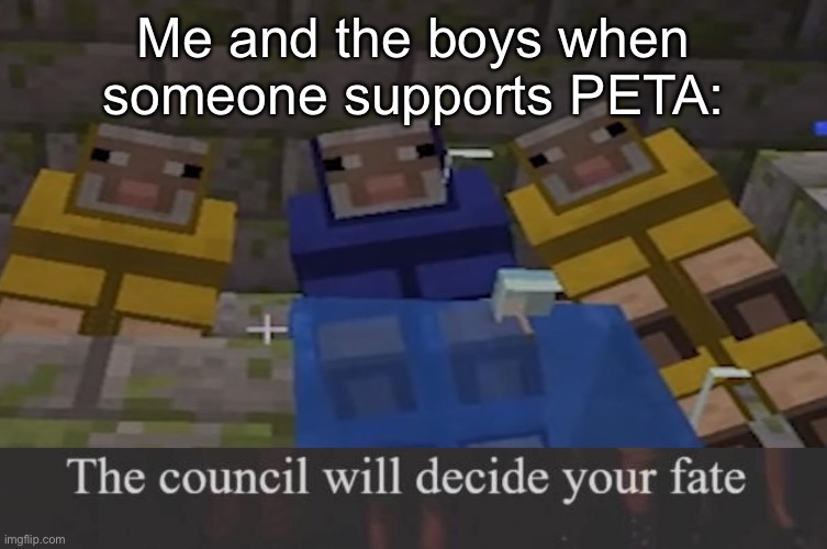 the council will decide your fate | Me and the boys when someone supports PETA: | image tagged in the council will decide your fate | made w/ Imgflip meme maker