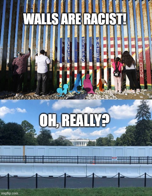 Walls Are Racist! | WALLS ARE RACIST! OH, REALLY? | image tagged in border wall,white house walls,joe biden,wall,border,immigration | made w/ Imgflip meme maker