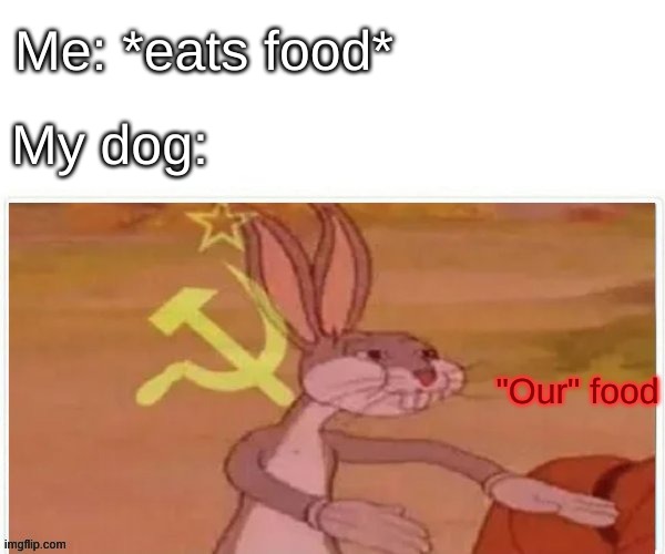 communist bugs bunny | Me: *eats food*; My dog:; "Our" food | image tagged in communist bugs bunny | made w/ Imgflip meme maker