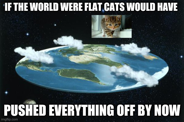 100% | IF THE WORLD WERE FLAT CATS WOULD HAVE; PUSHED EVERYTHING OFF BY NOW | image tagged in flat earth | made w/ Imgflip meme maker