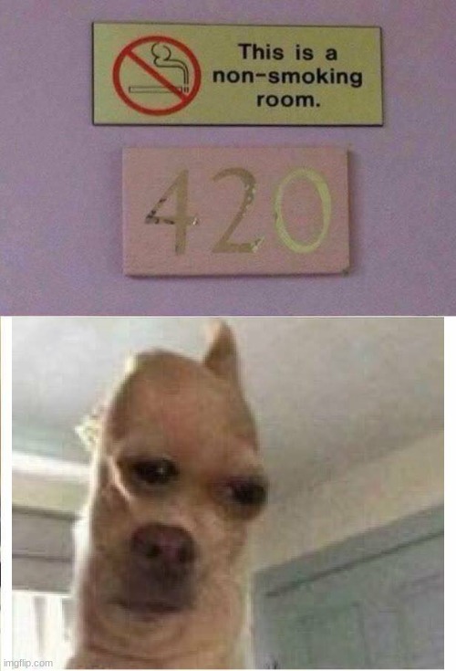 420 is past tho | image tagged in msmg | made w/ Imgflip meme maker