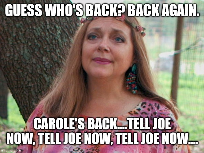 Shady Carole | GUESS WHO'S BACK? BACK AGAIN. CAROLE'S BACK....TELL JOE NOW, TELL JOE NOW, TELL JOE NOW.... | image tagged in tiger king | made w/ Imgflip meme maker