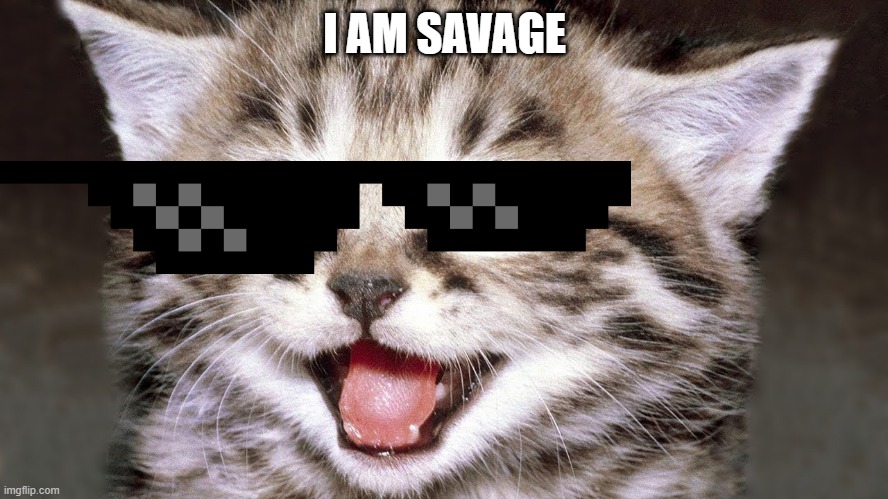 SAVAGE CAT | I AM SAVAGE | image tagged in savage,cat | made w/ Imgflip meme maker