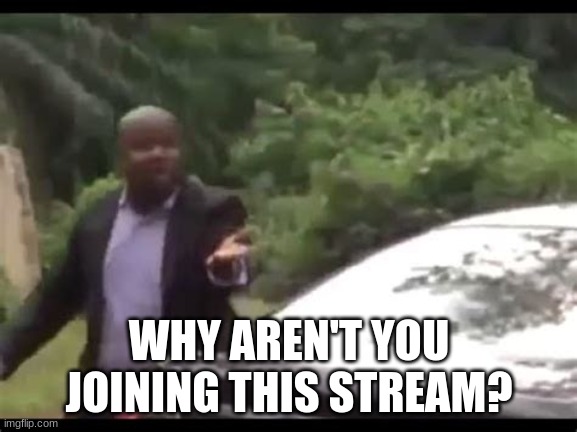 link in comments | WHY AREN'T YOU JOINING THIS STREAM? | image tagged in why are you running,msmg | made w/ Imgflip meme maker