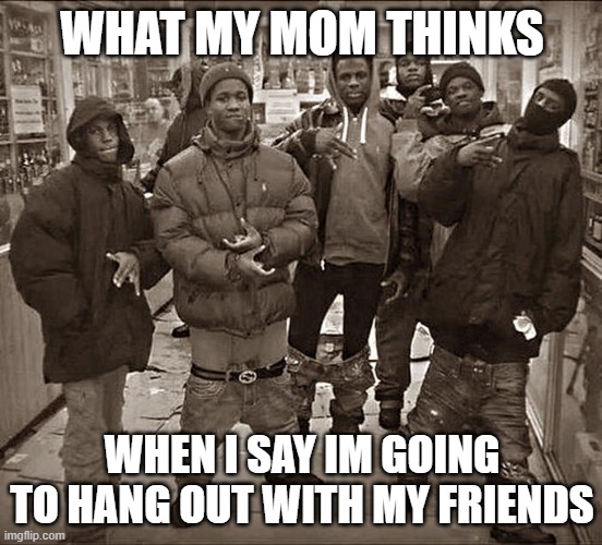 We are the cool gang bois! | WHAT MY MOM THINKS; WHEN I SAY IM GOING TO HANG OUT WITH MY FRIENDS | image tagged in all my homies hate | made w/ Imgflip meme maker