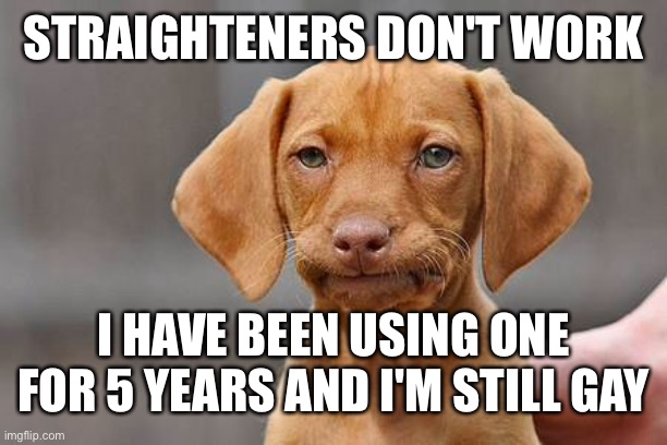 This is a joke, I don't even use a straightener. | STRAIGHTENERS DON'T WORK; I HAVE BEEN USING ONE FOR 5 YEARS AND I'M STILL GAY | image tagged in gay | made w/ Imgflip meme maker
