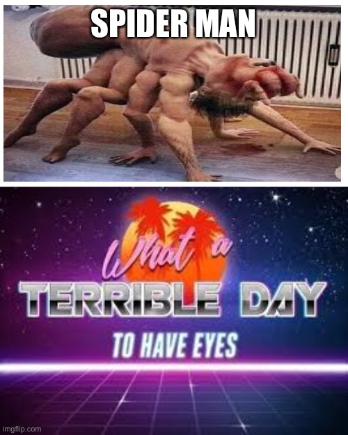 what a terrible day to have eyes | SPIDER MAN | image tagged in what a terrible day to have eyes | made w/ Imgflip meme maker