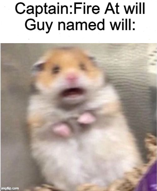 Will no | Captain:Fire At will
Guy named will: | image tagged in scared hamster | made w/ Imgflip meme maker