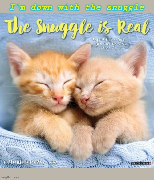 Snuggles | I'm down with the snuggle | image tagged in cute kittens | made w/ Imgflip meme maker