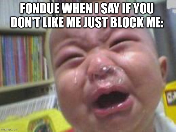 Bozo  | FONDUE WHEN I SAY IF YOU DON’T LIKE ME JUST BLOCK ME: | image tagged in funny crying baby | made w/ Imgflip meme maker